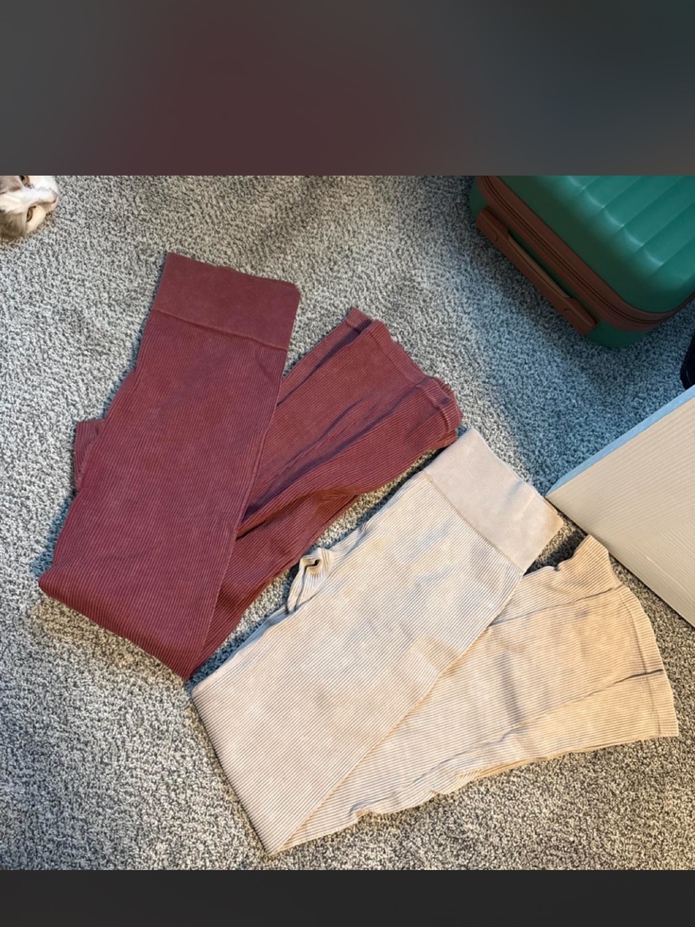 Fashion Nova pant